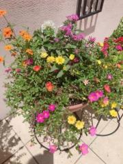 画像(180x240)・拡大画像(480x640)