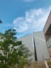 画像(180x240)・拡大画像(480x640)