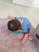 画像(135x180)・拡大画像(480x640)