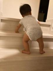 画像(180x240)・拡大画像(480x640)