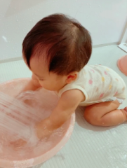 画像(181x240)・拡大画像(485x640)