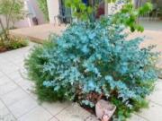 画像(180x135)・拡大画像(640x480)