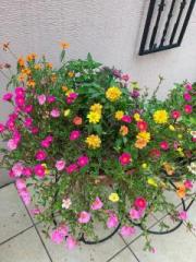 画像(180x240)・拡大画像(480x640)