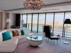 画像(240x180)・拡大画像(640x480)