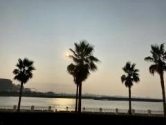 画像(240x180)・拡大画像(640x480)