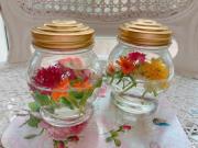 �摜(180x135)�E�g��摜(640x480)