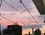 画像(180x138)・拡大画像(640x494)