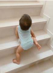 画像(175x240)・拡大画像(469x640)