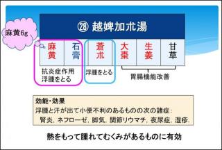 画像(320x216)・拡大画像(640x433)