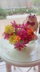 �摜(135x240)�E�g��摜(360x640)