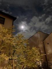 �摜(180x240)�E�g��摜(480x640)