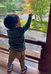 �摜(165x240)�E�g��摜(440x640)