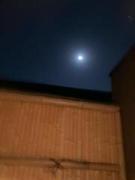 �摜(135x180)�E�g��摜(480x640)