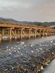 �摜(180x240)�E�g��摜(480x640)