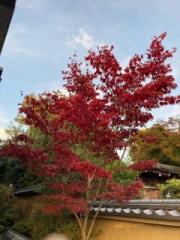 �摜(180x240)�E�g��摜(480x640)