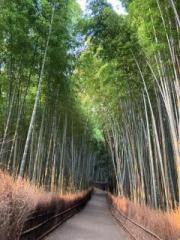 �摜(180x240)�E�g��摜(480x640)