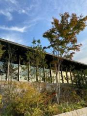 �摜(180x240)�E�g��摜(480x640)