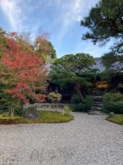 �摜(180x240)�E�g��摜(480x640)