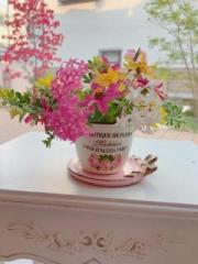 画像(180x240)・拡大画像(480x640)