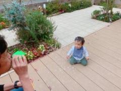 画像(240x180)・拡大画像(640x480)