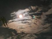 �摜(180x135)�E�g��摜(640x480)