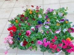 �摜(240x180)�E�g��摜(640x480)