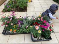 �摜(240x180)�E�g��摜(640x480)