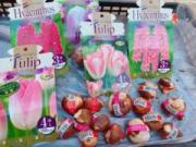 �摜(180x135)�E�g��摜(640x480)