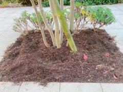 �摜(240x180)�E�g��摜(640x480)