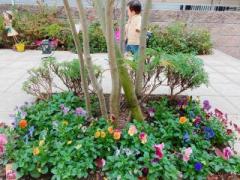 �摜(240x180)�E�g��摜(640x480)