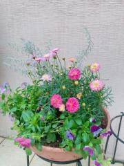 �摜(180x240)�E�g��摜(480x640)