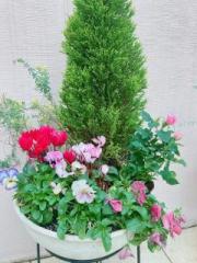 �摜(180x240)�E�g��摜(480x640)