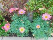 �摜(180x135)�E�g��摜(640x480)