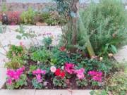 �摜(180x135)�E�g��摜(640x480)