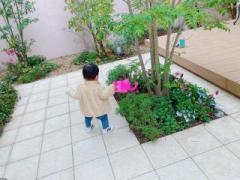 �摜(240x180)�E�g��摜(640x480)