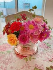 �摜(180x240)�E�g��摜(480x640)