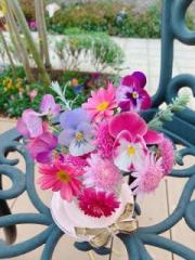 �摜(180x240)�E�g��摜(480x640)