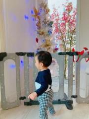 画像(180x240)・拡大画像(480x640)