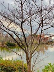 �摜(180x240)�E�g��摜(480x640)