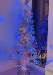 画像(171x240)・拡大画像(457x640)