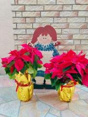 画像(180x240)・拡大画像(480x640)