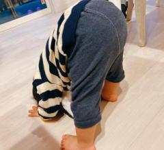 �摜(240x219)�E�g��摜(640x584)