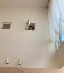 �摜(210x240)�E�g��摜(459x523)