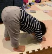 �摜(172x180)�E�g��摜(614x640)