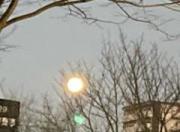 画像(180x132)・拡大画像(640x475)