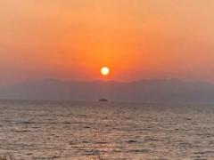 画像(240x180)・拡大画像(640x480)