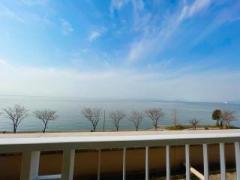 画像(240x180)・拡大画像(640x480)