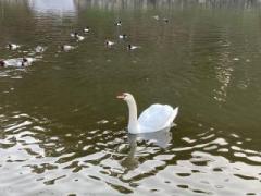 画像(240x180)・拡大画像(640x480)