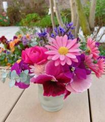 画像(207x240)・拡大画像(554x640)