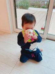 画像(180x240)・拡大画像(480x640)